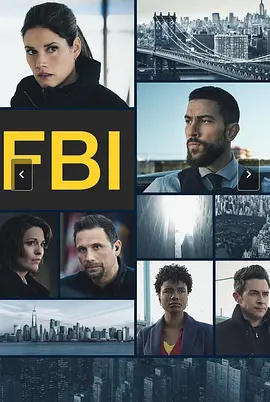 联邦调查局第9季